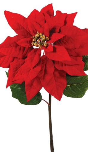 Χριστουγεννιάτικο Λουλούδι 30 x 80 (h)cm