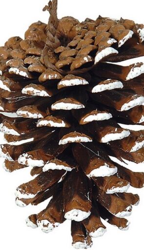 Κρεμαστό Χριστουγεννιάτικο Κουκουνάρι 12cm