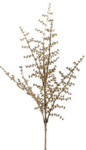 Χρυσό Χριστουγεννιάτικο Διακοσμητικό Κλαδί 64(Η)cm