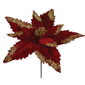 Λουλούδια Χριστουγεννιάτικα