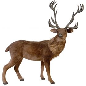 Χριστουγεννιάτικα Ζώα Επιδαπέδια