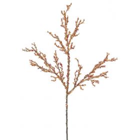 Προσφορές Σε Χριστουγεννιάτικα Κλαδιά