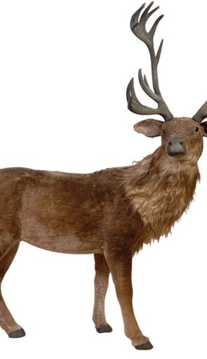 Χριστουγεννιάτικο Διακοσμητικό Ελάφι 168 x 60 x 162(h)cm