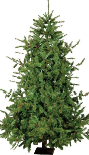 Χριστουγεννιάτικο Δέντρο LN 0704 Με Ξύλινο Κορμό ,180cm